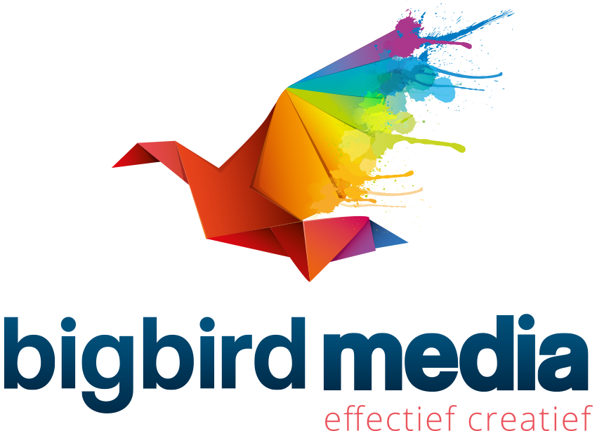 bigbird media